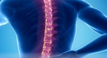 8 things you never knew about spinal cord injuries